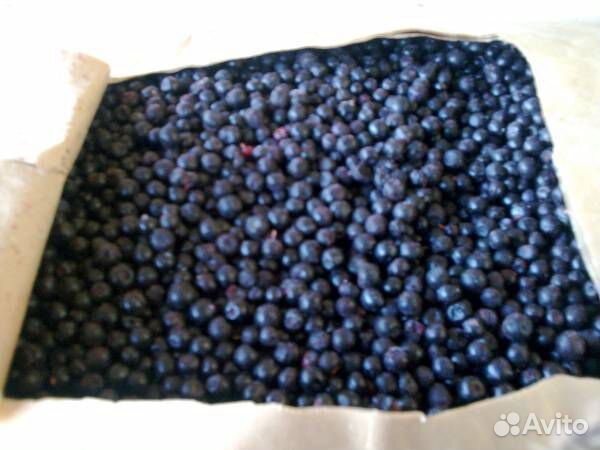 Клюква,брусника,черника,клубника,вишня,овощи и др