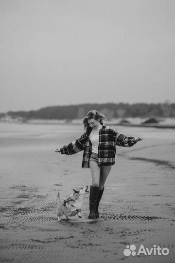 Фотосессия с Корги, Корги для фотосессии