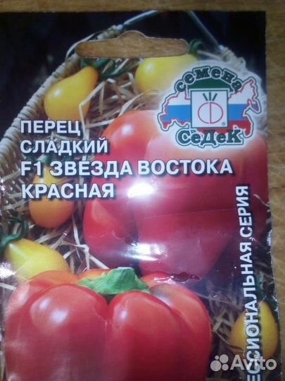 Рассада помидоры, перцы, петунии