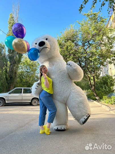 Поздравление от большого белого медведя/панды