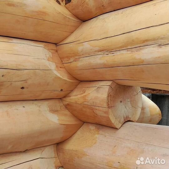 Сруб из бревна