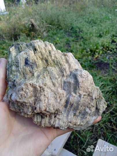 Камни и минералы