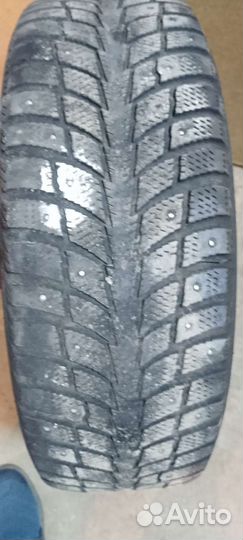 Accelera Accelera Summer 195/65 R15