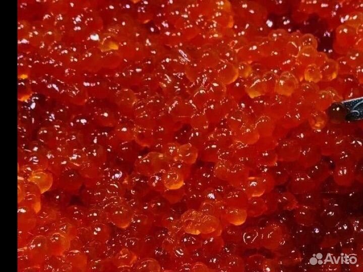 Икра красная оптом Горбуша