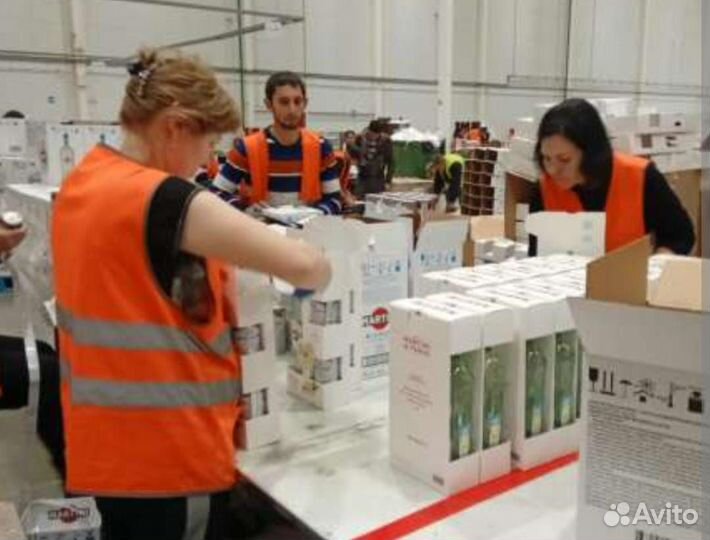 Стикеровщица без опыта /Вахта Нахабино М.О