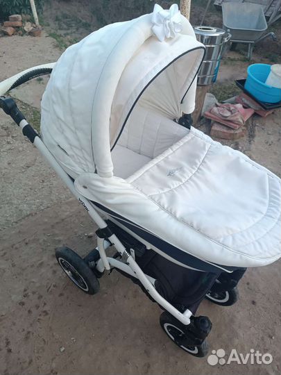 Коляска adamex 3 в 1