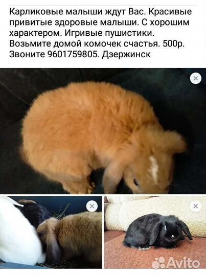 Запонки ссср. цена за все