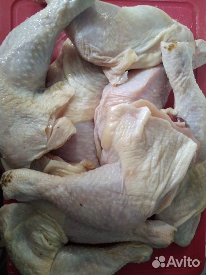 Мясо для ваших питомцев