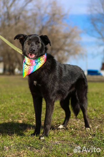 Милая Берта