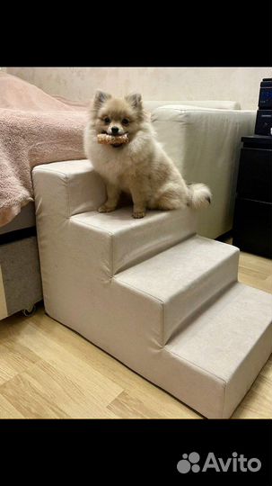 Ступеньки и лесенки для собак