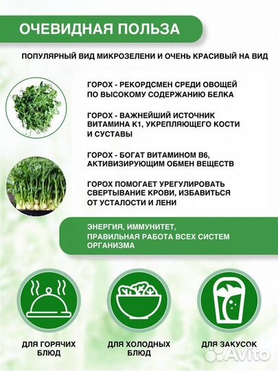 Микрозелень гороха