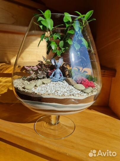 Фитодизай, оформление, флорариум