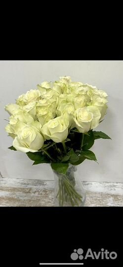 Букеты 25 роз, 51роза, 101роза