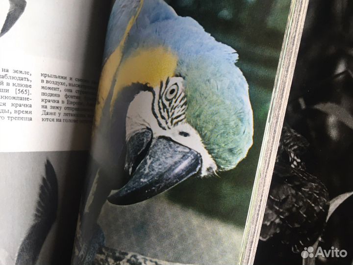 Артия Энциклопедия птиц, животных СССР