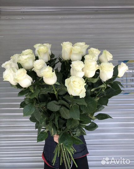 101 белая роза и 51 роза с доставкой в Пензе