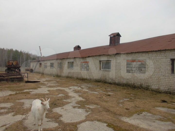 Участок 6 га (СНТ, ДНП)