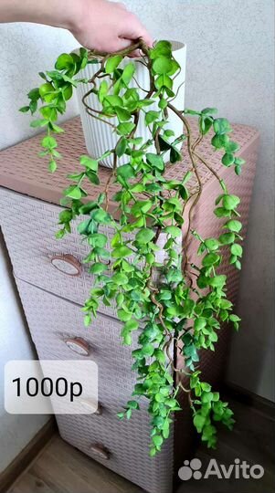 Искусственные цветы, свисающая зелень