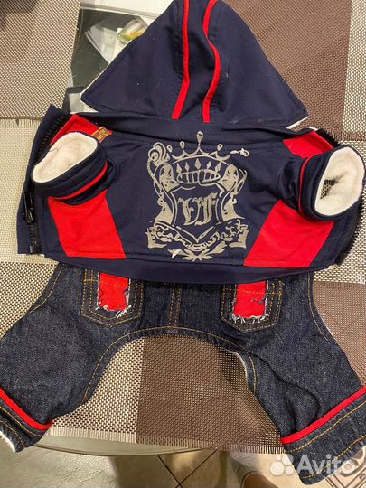 Одежда для маленьких пород собак