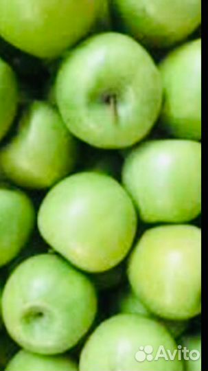 Плодовые.Колоновидные.Мини.Обычные