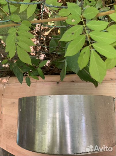 Сковорода сотейник