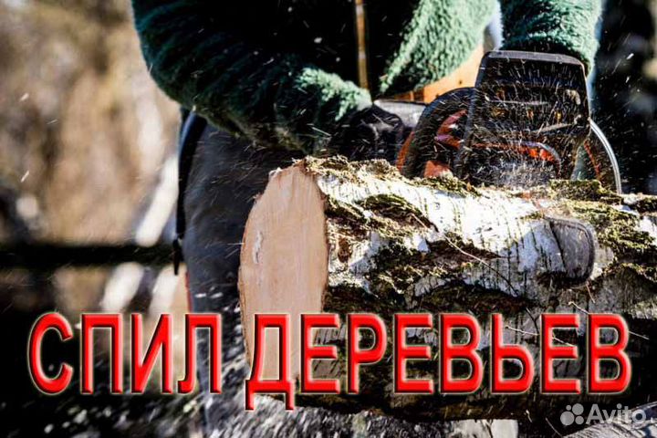 Спил деревьев