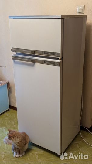 Бронь Холодильник в деревню на дачу Минск 15и
