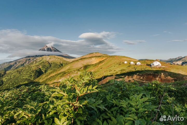 Праздники мероприятия