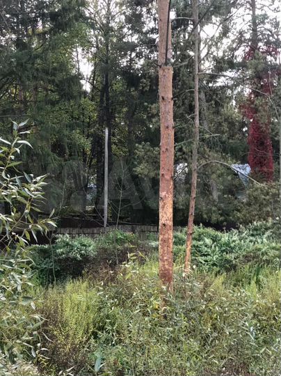 Участок 7,5 сот. (ИЖС)