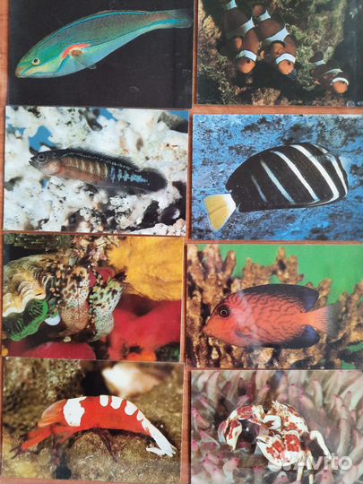 Карманные календарики СССР