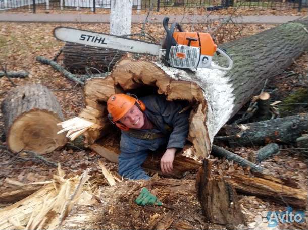 Сад благоустройство