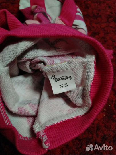 Одежда для собак мелких пород