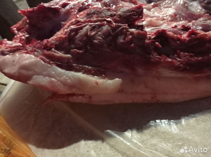 Сало свинное