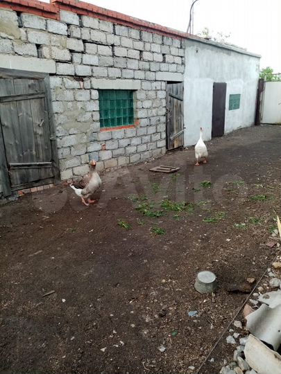 Дом 104 м² на участке 17 сот.