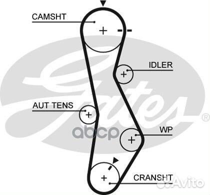 5579XS ремень грм 123x280 Hyundai Accent/Elant