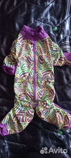 Комбинезон зимний и осенний для собак