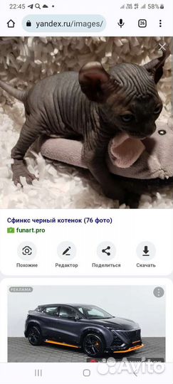 Отдам бесплатно