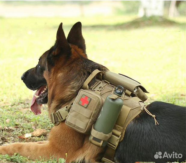 Набор тактических сумок системы molle