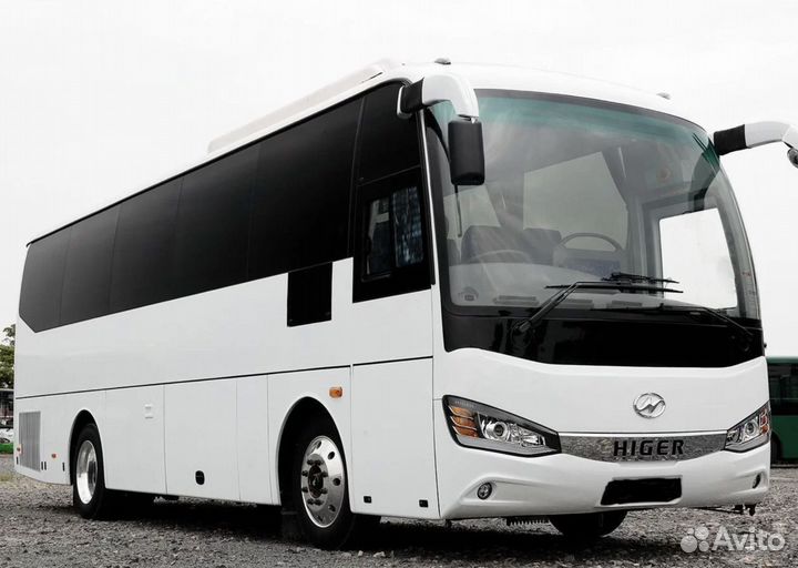 Аренда автобуса от 20 до 57 мест