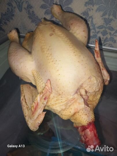 Мясо домашней птицы