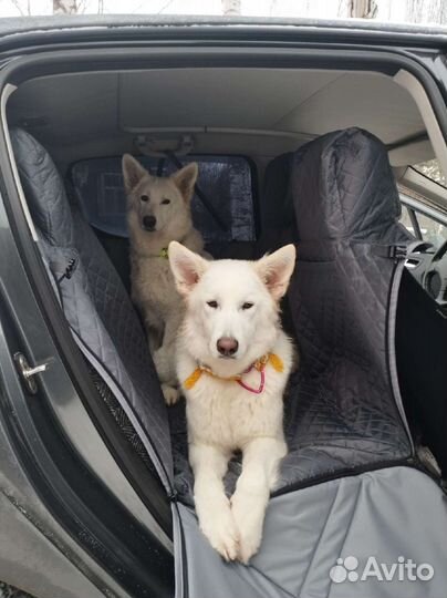 Автогамак для перевозки собак DoggyCo