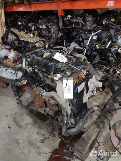 Двигатель Ford Mondeo 4 Форд Мондео 4