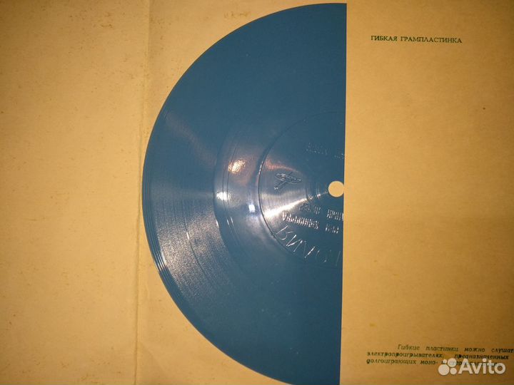 Гибкая пластинка