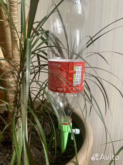 Дозатор полива растений