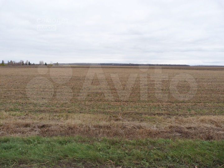 Участок 85,5 сот. (СНТ, ДНП)