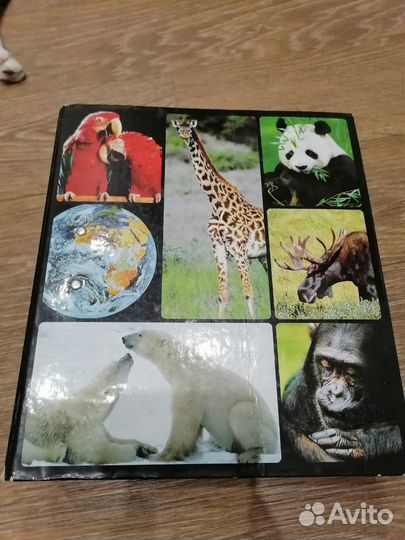 Справочник-энциклопедия 