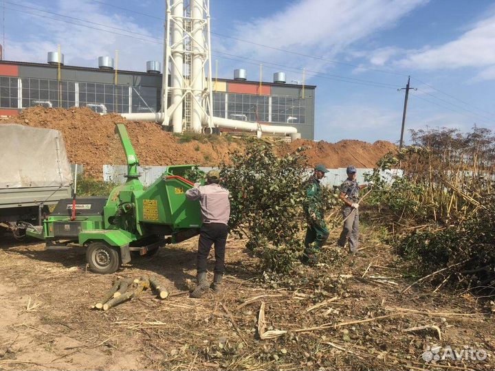 Аренда дробилки измельчителя веток в Мытищах