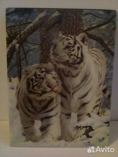 Виниловые картинки на магните