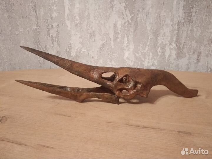 Черепа динозавров