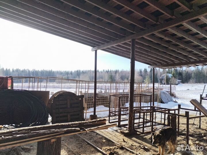 Ленточная пилорама в аренду