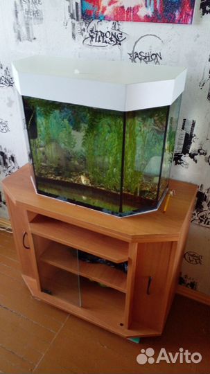 Аквариум
